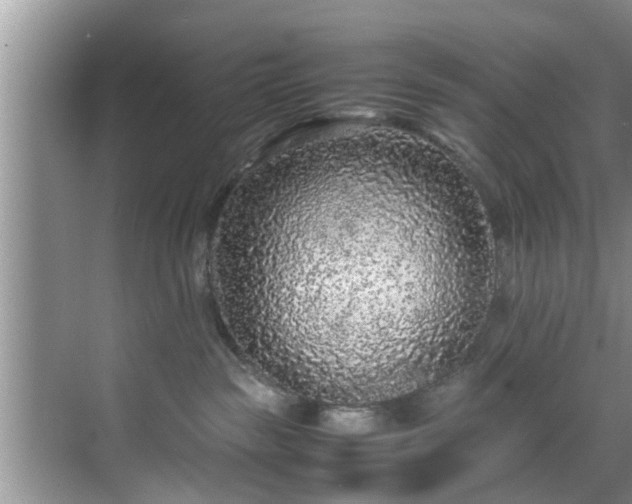 X0000070390189200606161419