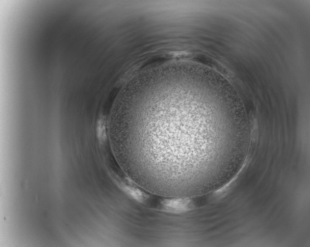 X0000070390191200606161419