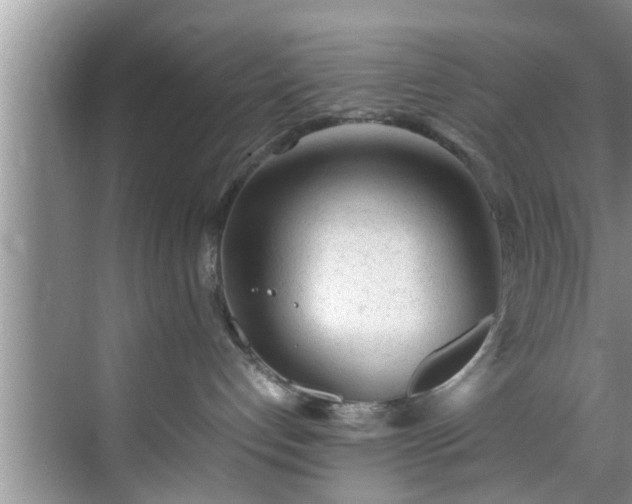 X0000070390192200606161420