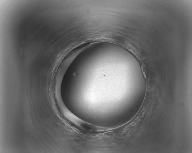 X0000070390193200606161419