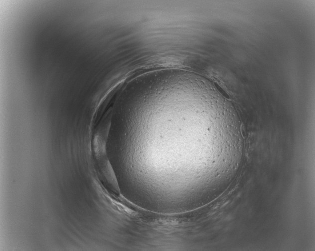 X0000070390194200606161419