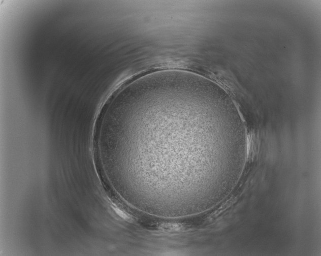 X0000070390195200606161419