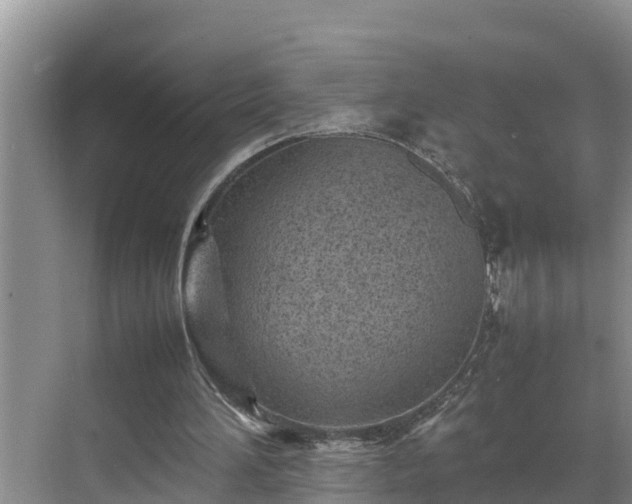 X0000070390196200606161419