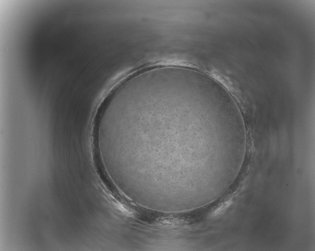 X0000070390199200606161419