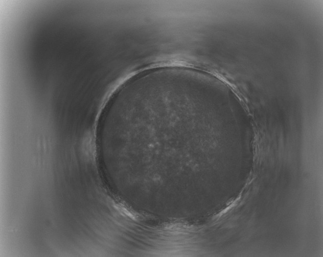 X0000070390200200606161419