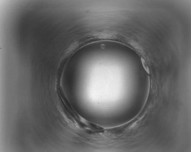 X0000070390201200606161419