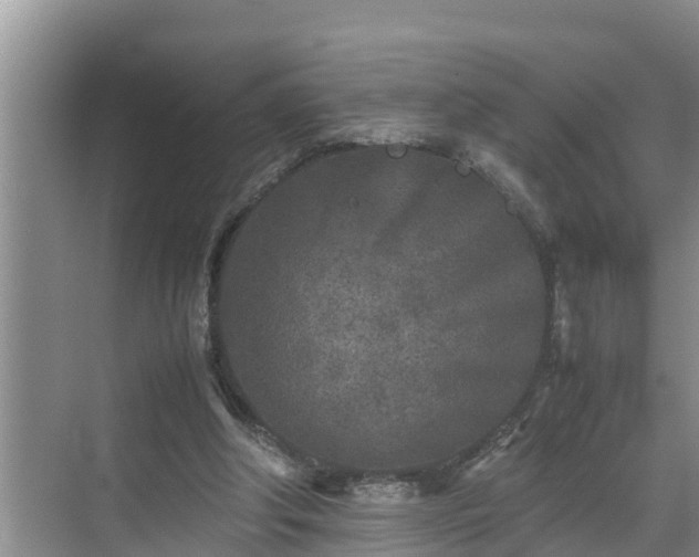 X0000070390202200606161419