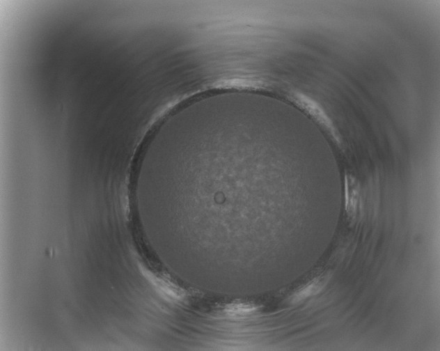 X0000070390204200606161418