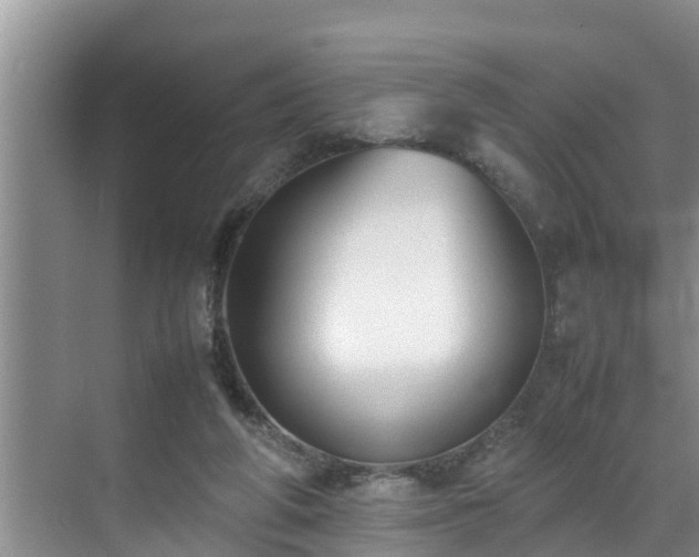 X0000070390210200606161418