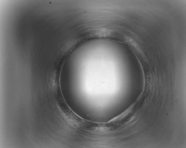 X0000070390212200606161418