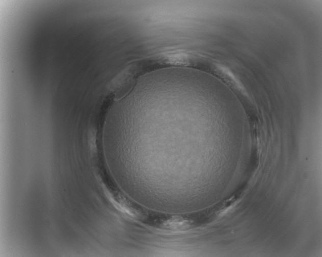 X0000070390213200606161418