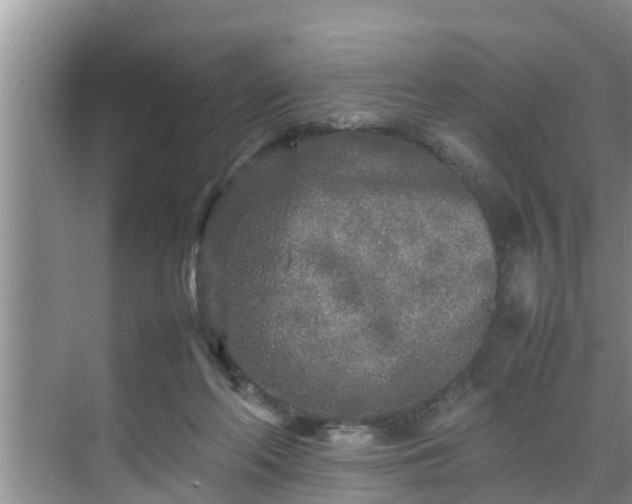 X0000070390214200606161418