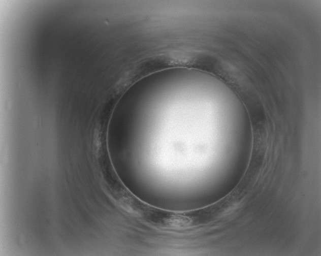 X0000070390215200606161418