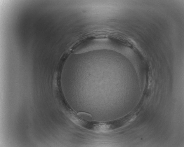 X0000070390217200606161418