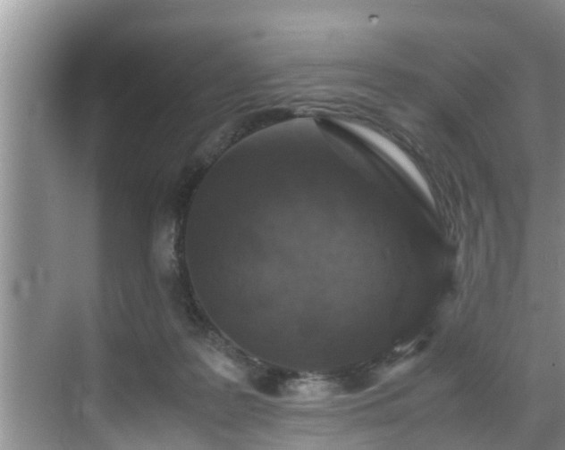 X0000070390219200606161418