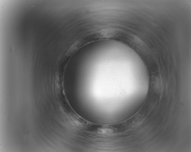 X0000070390220200606161418