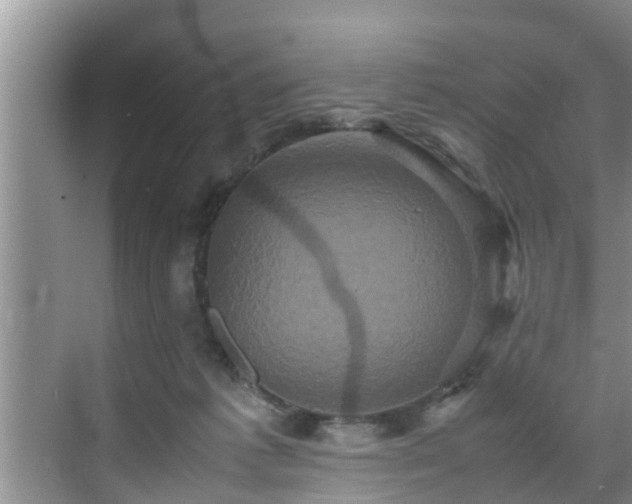 X0000070390221200606161418