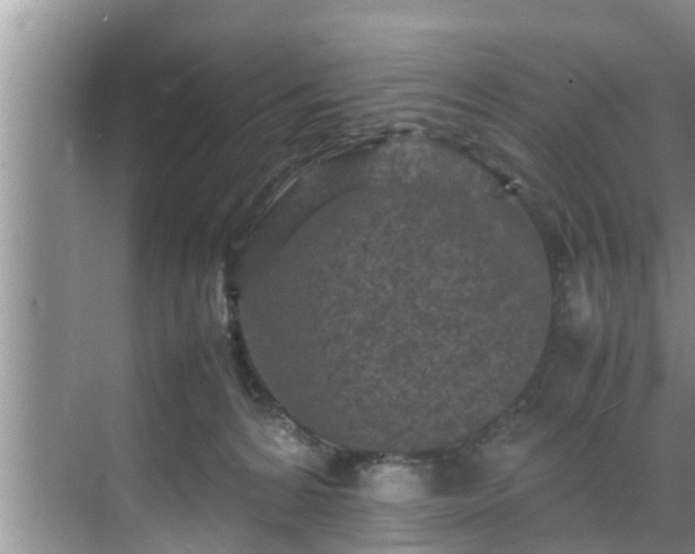 X0000070390224200606161418