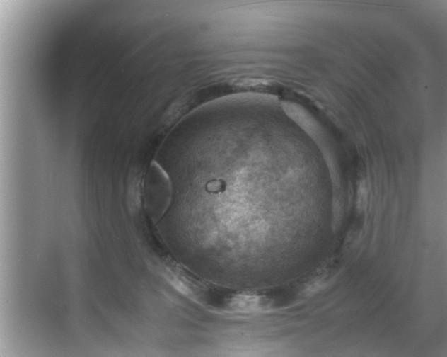 X0000070390227200606161418