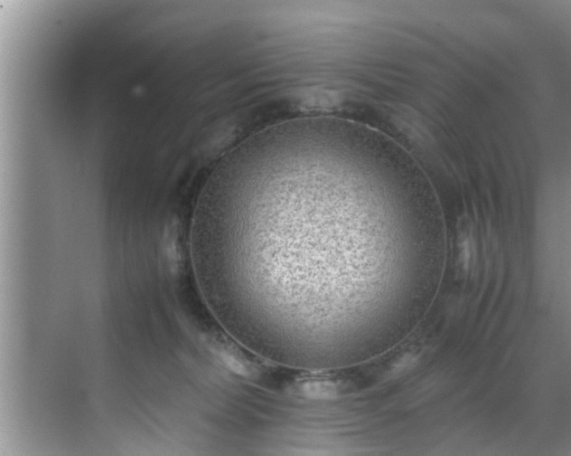 X0000070390228200606161418