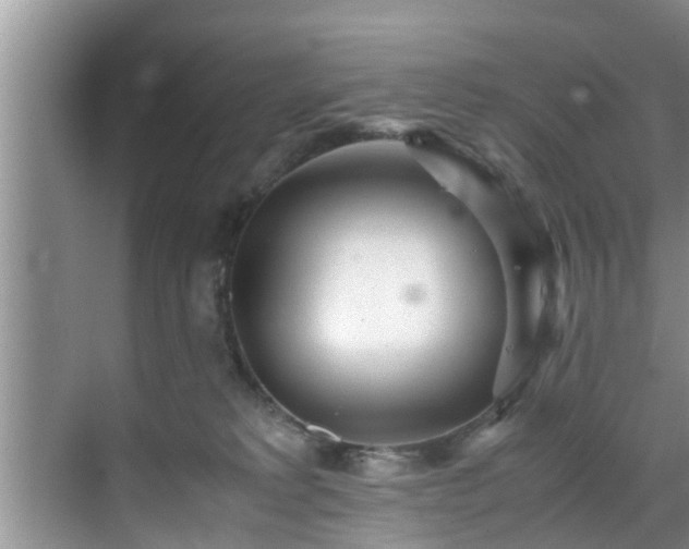 X0000070390229200606161418