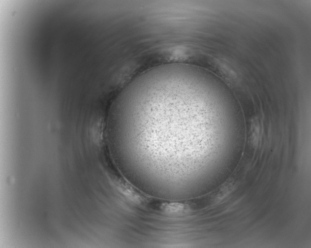 X0000070390230200606161418