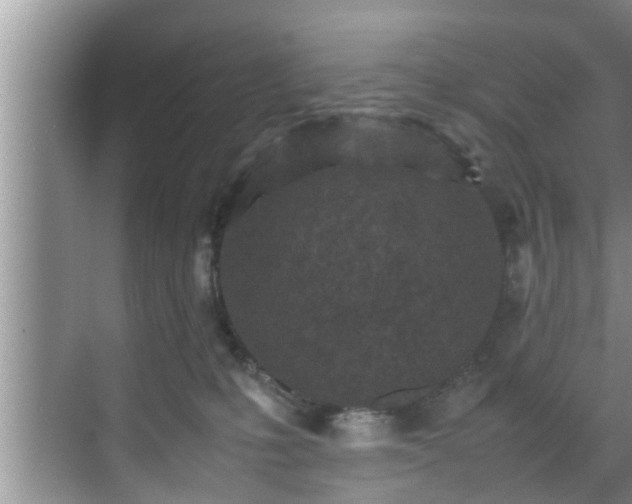 X0000070390231200606161418