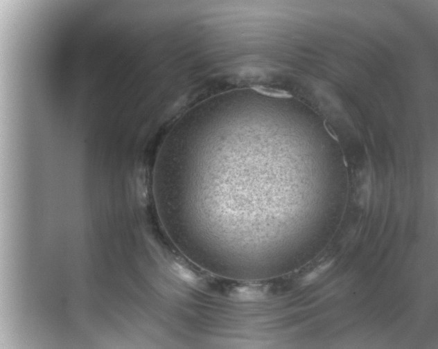 X0000070390232200606161418