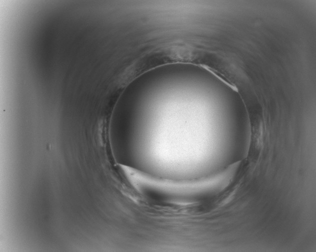 X0000070390233200606161418