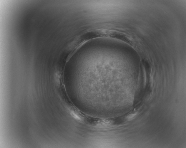 X0000070390235200606161418