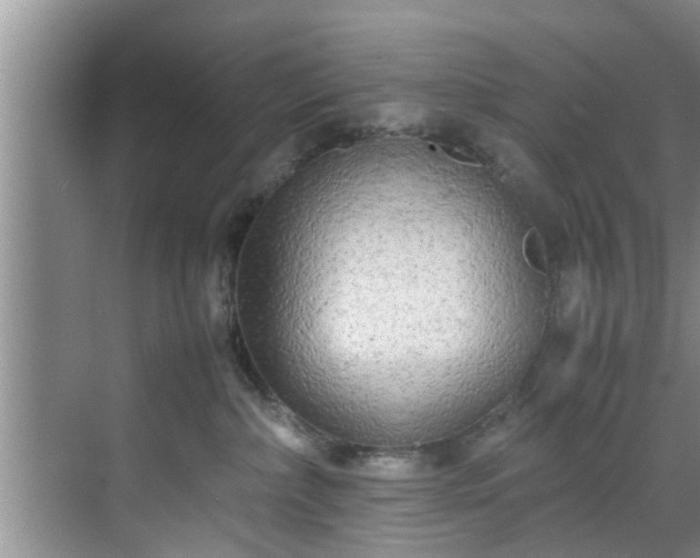 X0000070390236200606161418