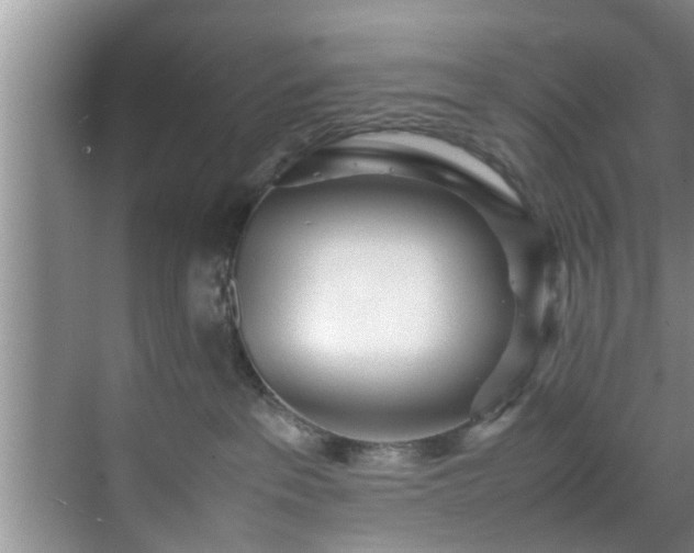 X0000070390237200606161418