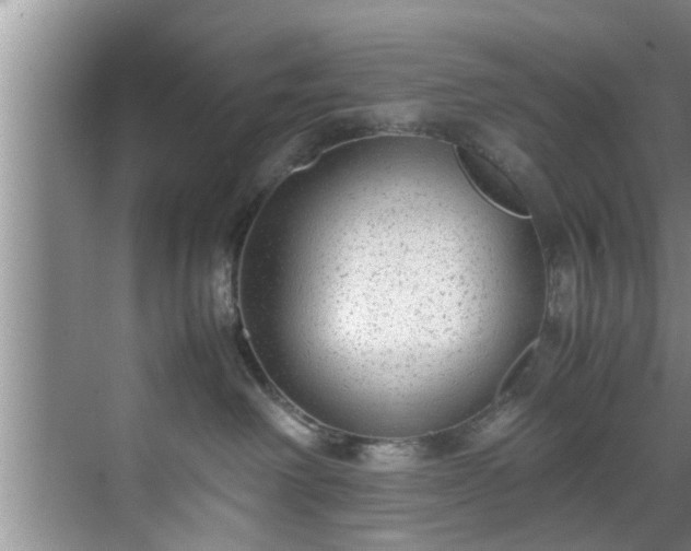 X0000070390238200606161418