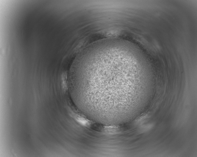 X0000070390240200606161418