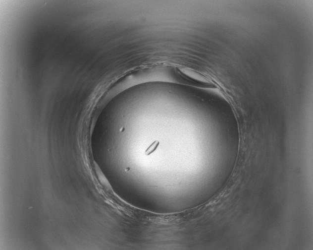 X0000070390241200606161417