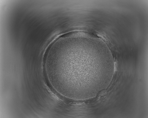 X0000070390243200606161417