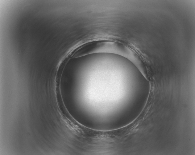 X0000070390244200606161417