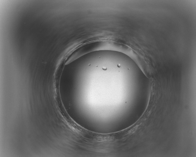 X0000070390245200606161417