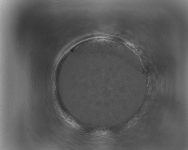 X0000070390247200606161417