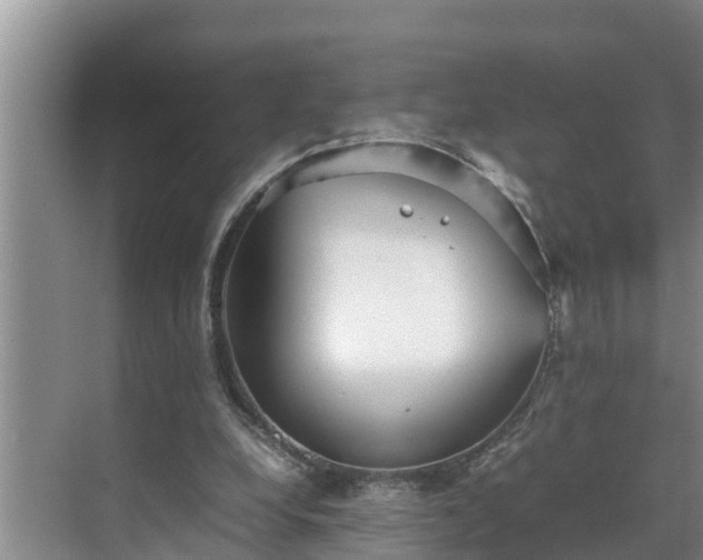 X0000070390248200606161417