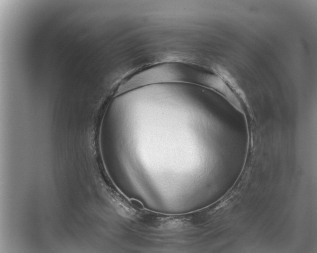 X0000070390249200606161417