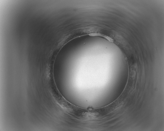 X0000070390255200606161417