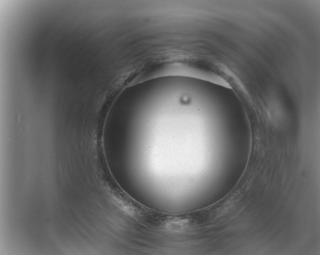 X0000070390257200606161417