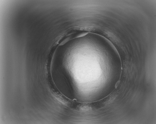 X0000070390258200606161417