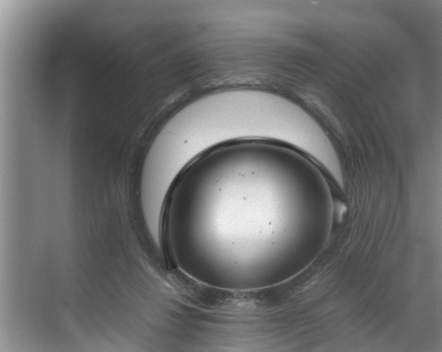 X0000070390260200606161417