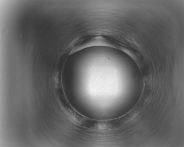 X0000070390264200606161417