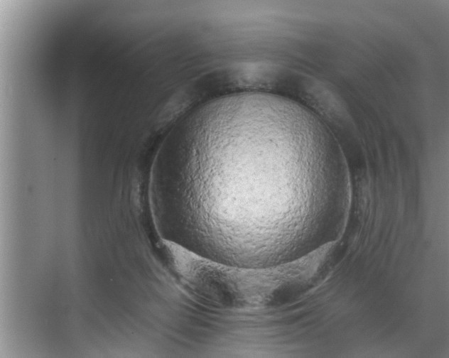 X0000070390266200606161417