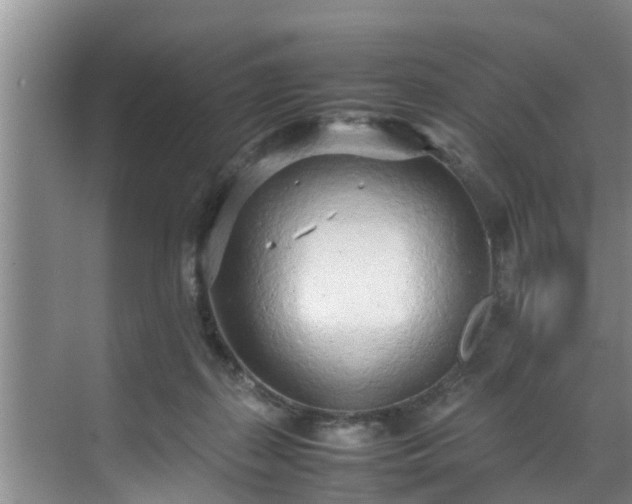 X0000070390267200606161417