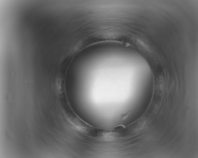 X0000070390268200606161418