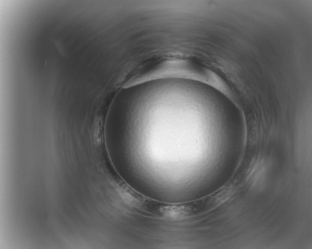 X0000070390273200606161418